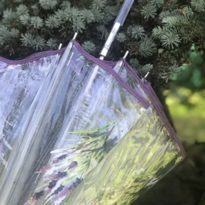 Paraguas Largo Transparente con Ribete Morado, Manual y Antiviento